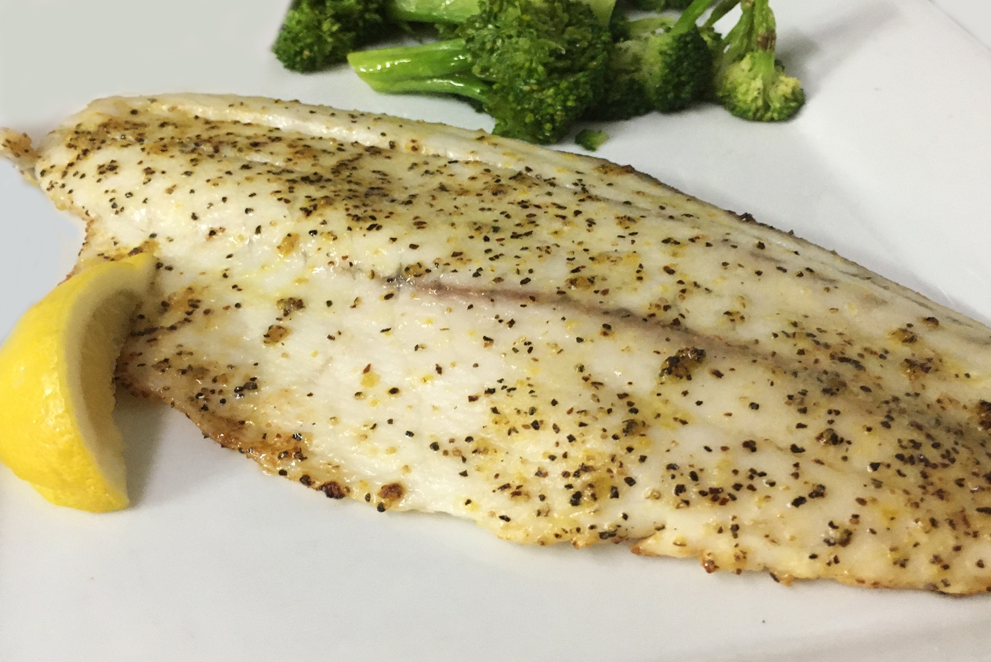 Barramundi