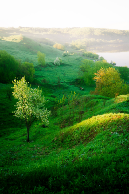 photo of Ireland